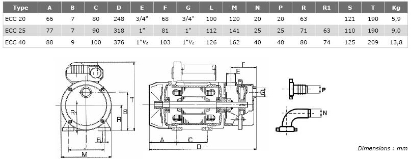 Pompe transfert gasoil Laiton CC 12V Type ECC